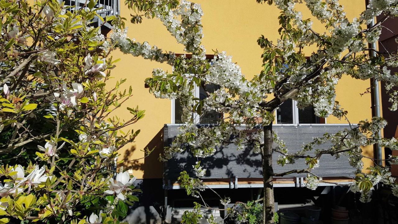 שוורין Stilvolle Ferienwohnung Am Stadthafen Schwerin מראה חיצוני תמונה